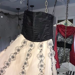 Brand new sweet sixteen Betsy Johnson party dress